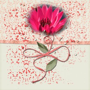 Single Flower