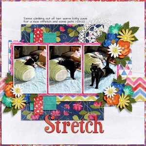 Stretch