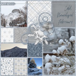 Cold Beautiful February