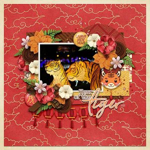 year of the tiger
