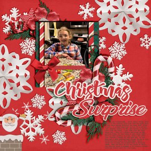 Christmas Surprise