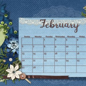 22 Feb color