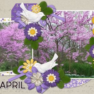Red Bud