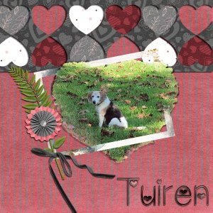 UIA FEB Tuiren