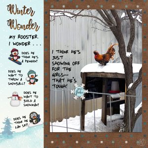 Rooster in the snow