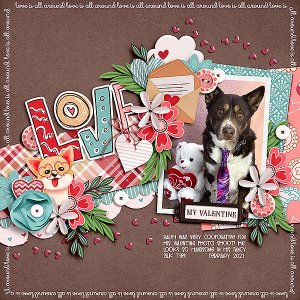 Valentine Dog