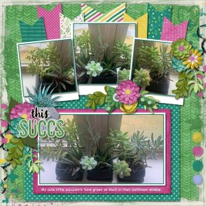 this Succs