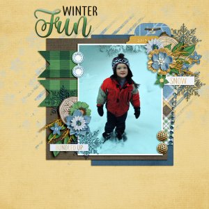 Winter Fun