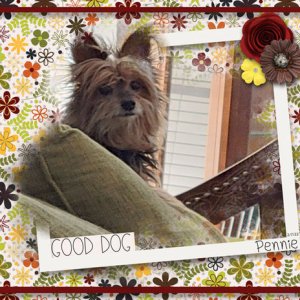 Good Dog