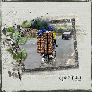 Eggs to Market