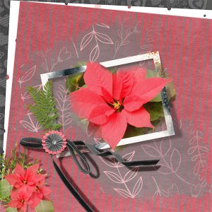 Pointsettia