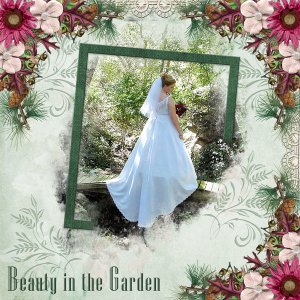 Beauty in the Garden