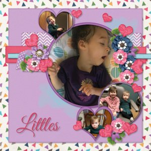 Bebe's Littles Companion