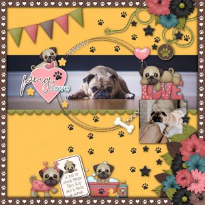 Pug Love