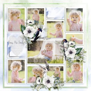 A Whisper of Spring