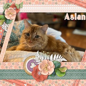 Aslan