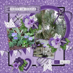 Pretty in Purple