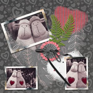 Sheep Heart