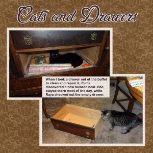 Cats and drawers