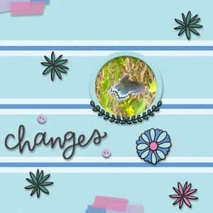Changes