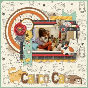 Calico Cat