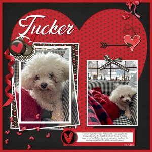 Tucker: February Font Challenge
