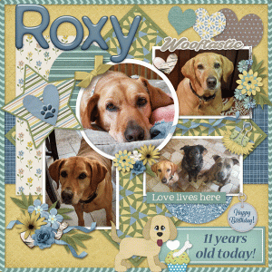 Happy Birthday Roxy