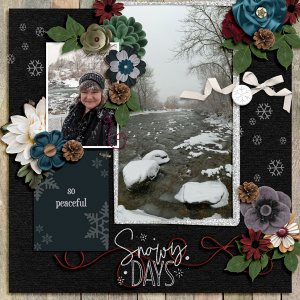 Beautiful Snowy Day