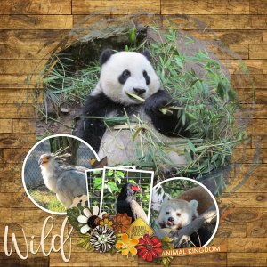 At the zoo