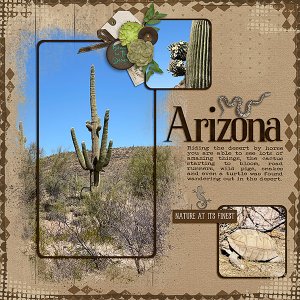 AZ