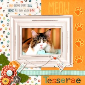 MY SWEET TESSERAE