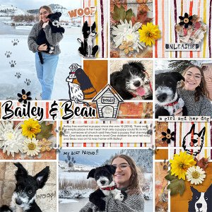BAILEY + BEAU