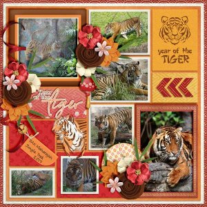 Year-Of-The-Tiger