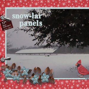 Snow-lar panels