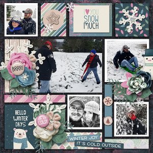 Snow Much Fun