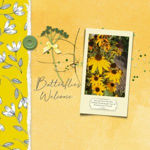 Butterflies Welcome