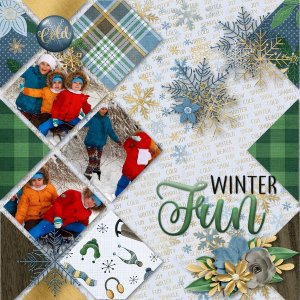 Winter Fun