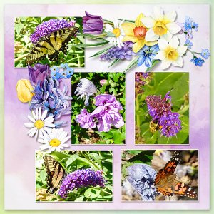 Bees and Butterflies