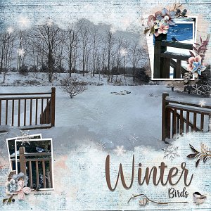 Winter Birds