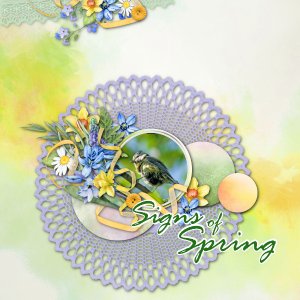 Signs Of Spring