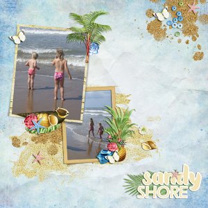 sandy shore