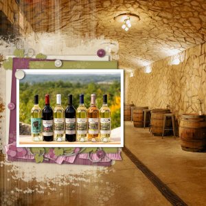 Wine Cellar