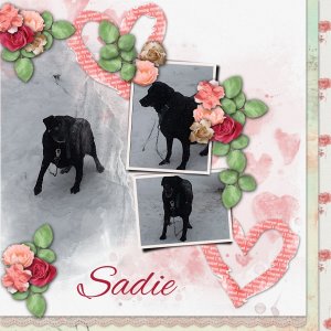 Sadie