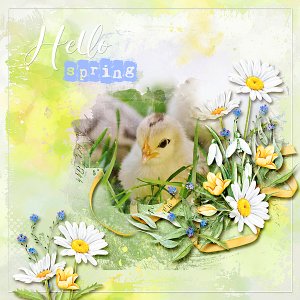 Hello Spring