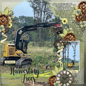 Harvesting Trees