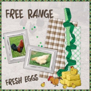 Free Range