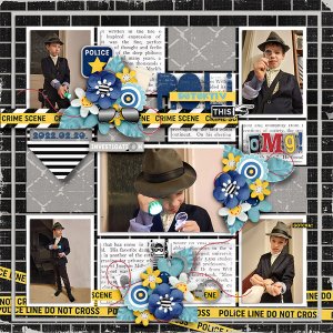 The Investigator