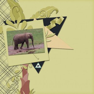 Elephant
