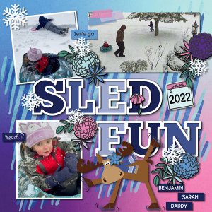 Sled Fun 2022