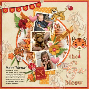 the Years of the Tiger-Meow